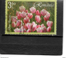 ROUMANIE 2006  Fleurs TULIPES Don Quichotte  Yvert 5088 Oblitéré - Used Stamps