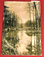 BRUXELLES - FORÊT DE SOIGNES  -  Etang De L' Ermite (vallon De La Vuylbeek)    -   1912 - Parks, Gärten