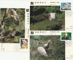 China 1984, Maximumcard Unused, Birds - Maximumkarten