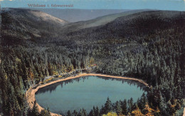 Wildsee Im Schwarzwald (2058) - Baiersbronn