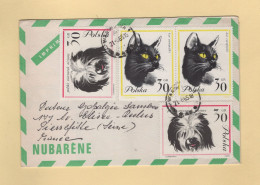 Pologne - 1965 - Imprime Publicitaire Pharmaceutique Nubarene - Theme Chien Chat - Brieven En Documenten