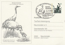 Duitsland 1988, Postcard Animal Park Neumünster, Birds - Privatpostkarten - Gebraucht