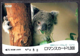 Japan 1V Koala No. 13 Odakyu Electric Railway Used Card - Dschungel