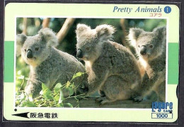 Japan 1V Pretty Animals 1 Koala Hankyu Railway Used Card - Giungla