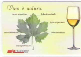 TELECOM - VINO E' NATURA - 14° MANIFESTAZIONE DI PIACENZA - SERIE NUOVA 3 V. LIRE 2000 5000 15000 - GOLDEN  1342/1344 - Openbaar Getekend