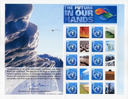 2007 - O.N.U. / UNITED NATIONS - NEW YORK - IL FUTURO NELLE NOSTRE MANI / THE FUTURE IN OUR HANDS. MNH - Blocchi & Foglietti