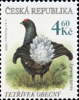 180 Czech Republic Black Grouse 1998 - Gallinaceans & Pheasants