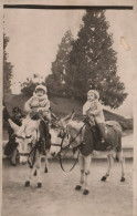 ânes - Carte Photo - Ballade à âne Mulet Mule - Enfants - Donkey - Burros