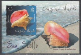 2010 Cayman Islands Queen Conch Shells Souvenir Sheet MNH - Cayman (Isole)