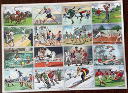 Pédagogie Ecole Images Sport Planche Scolaire Arnaud Dechaux éditeur 1950 état Superbe - Material Und Zubehör