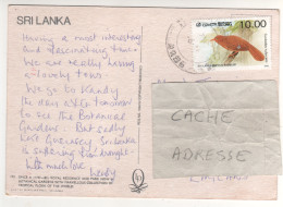 Timbre , Stamp " Oiseau : Turdoides Rufescens " Sur CP , Carte , Postcard - Sri Lanka (Ceylan) (1948-...)