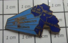 715A Pin's Pins / Beau Et Rare / ADMINISTRATION / DISTRICT DE L'AGGLOMERATION MELUNOISE MELUN LE MEE - Administration