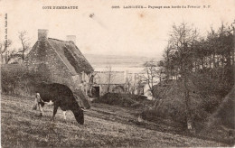 CPA 22 LANCIEUX Paysage Aux Bords Du Frémur 1906 - Vache - Lancieux