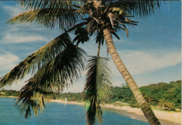 REPÚBLICA DOMINICANA - Puerto Plata - Playa Sosua - Dominikanische Rep.