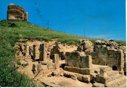 Oristano, Penisola Di Sinis, Scavi Di Tharros - Viag. 1988 - Oristano