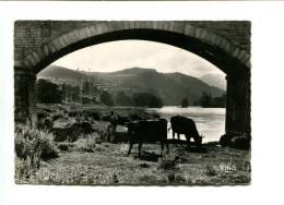 CP - RETOURNAC (43) - Paysage Sur La Loire - Retournac