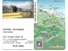 SUISSE.   Zermatt To The Summit Of The Gornergrat 3089 M (Train à Crémaillère) Ticket - Europe