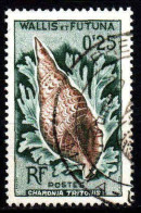 Wallis Et Futuna  - 1962  -  Coquillages  - N° 162  - Oblit - Used - Usati