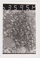 Pattern, Sample Raised Photo, Abstract Surreal Vintage Orig Photo 8.7x13.2cm. (59569) - Voorwerpen