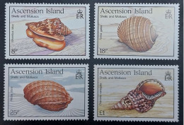 Coquillages Shells // Série Complète Neuve ** MNH ; Ascension YT 492/495 (1989) Cote 12 € - Ascension (Ile De L')