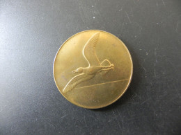 Medaille Medal - Schweiz Suisse Switzerland - Zürichsee Der Jugend Zur Erinnerung Seegfrörni 1929 - Andere & Zonder Classificatie