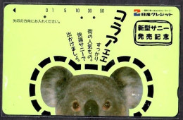 Japan 1V Koala Advertising Used Card - Jungle