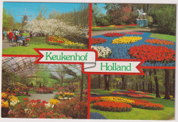 AK 204606 NETHERLANDS - Lisse - Keukenhof - Lisse