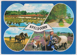 AK 204630 NETHERLANDS - Apeldorn - Apeldoorn