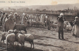 Algérie )    BATNA - Le Marché Aux Bestiaux (  Moutons  ) - Batna