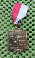 Medaille -  E.W.B. Voorjaarstocht , Enschede-  Original Foto  !!  Medallion  Dutch - Adel