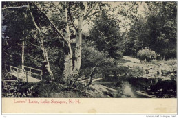 LAKE SUNAPEE, N.H. - RP, B&W - Lover's Lane,  1923 - Sonstige & Ohne Zuordnung