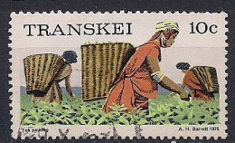 TRANSKEI   OBLITERE - Transkei