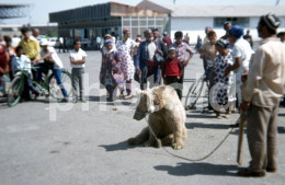 1985 MARKET BUKHARA BEAR UZBEK UZBEKISTAN 35mm AMATEUR DIAPOSITIVE SLIDE Not PHOTO No FOTO NB3885 - Diapositives