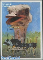 Tanzania 1999 New Millennium S/s, Mint NH, Nature - Various - Birds - Tourism - Tanzania (1964-...)