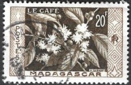 MADAGASCAR -  Le  Café - Oblitérés