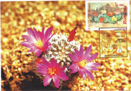 MAX 13 - 119 CACTUS, Romania - Maximum Card - 2006 - Cactusses