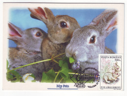 MAX 13 - 223 RABBIT, Romania - Maximum Card - 1998 - Rabbits