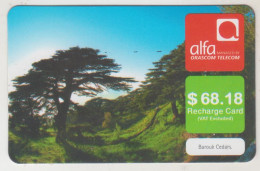 LEBANON - Barouk Cedars Tree , Alfa Recharge Card 68.18$, Exp.date 15/08/13, Used - Libano