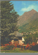 CPM 38 - Venosc - Bourg D'Arud - Chalet Hôtel De La Muzelle - Vénosc