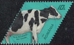 Roumanie 2022 Oblitéré Used Vache Holstein Race Bovine Y&T RO 6697 SU - Gebraucht