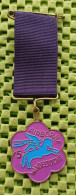 Medaille -  5e. Airborne Wandeltochten   -  Original Foto  !!  Medallion  Dutch - Altri & Non Classificati