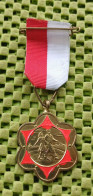 Medaille - E.W.B. Enschede Wandel Bond  -  Original Foto  !!  Medallion  Dutch - Sonstige & Ohne Zuordnung