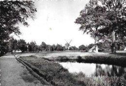 DOMEIN BOKRIJK OPENLUCHTMUSEUM///KEMPISCH DORPSPLEIN MET DRENKPLAATS VOOR HET VEE EN STANDERMOLEN/MOULIN - Genk