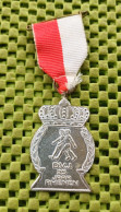 Medaille - D.V.J. 25 Jaar Rhenen  -  Original Foto  !!  Medallion  Dutch - Andere & Zonder Classificatie