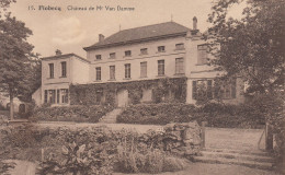 Flobecq - Château De Mr. Van Damme - Vloesberg