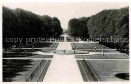 72893179 Schwetzingen Schlossgarten Schwetzingen - Schwetzingen