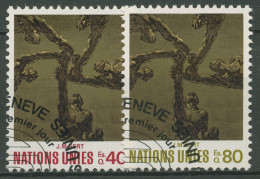UNO Genf 1972 Kunstwerke Deckengemälde 28/29 Gestempelt - Used Stamps