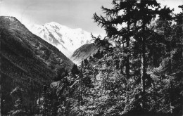 Finhaut Sentier Du Col De La Gueulaz Et Le Mont Blanc - Finhaut