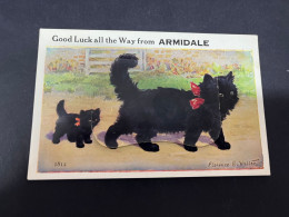 26-2-2-2024 (1 Y 16) Australia - Very Old (1940's ?) NSW - Armidale (dog) Novelty Postcard With "b/w Insert" - Other & Unclassified