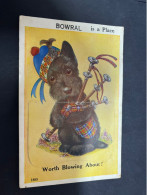 26-2-2-2024 (1 Y 16) Australia - Very Old (1940's ?) NSW - Bowral (dog) Novelty Postcard With "b/w Insert" - Altri & Non Classificati